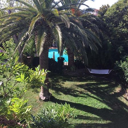 Domaine Saint Nicolas Bed & Breakfast Perpignan Luaran gambar