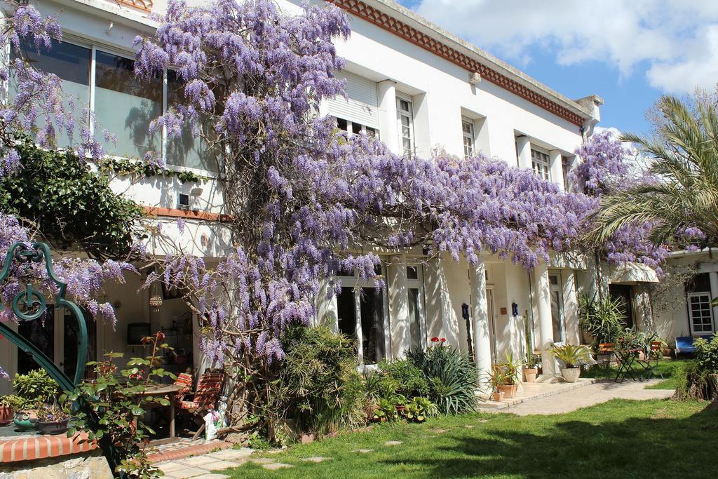 Domaine Saint Nicolas Bed & Breakfast Perpignan Luaran gambar